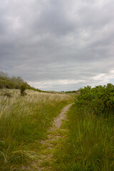 Fehmarn, Germany - 05/26/2020: Small Footpath On The Isle Of Fehmarn Near The Lighthouse Of Fl&uuml;gge
