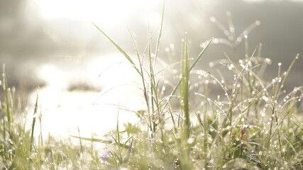 Mountains during sunset. Beautiful natural landscape in the summer time