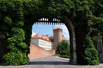 Fototapeta na wymiar Wawel Royal Castle in Krakow, Poland. Exterior view through the gate overgrown with ivy green ivy. 