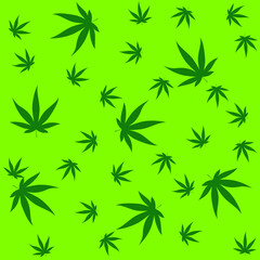 marijuana cannabis leaf