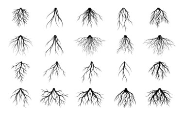Set of black Tree Roots on white background. Vector Illustration. Plant in Garden.