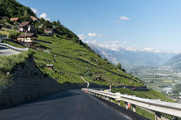 Road in the mountains with vineyards.