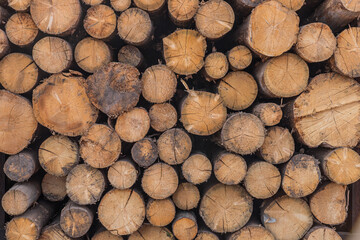 Pattern of wood logs stack. Wood storage for industry. Felled tree trunks. Firewood cut tree trunk logs stacked prepared. Deforestation for Industrial production.