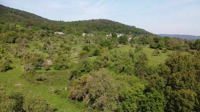 alte Streuobstwiesen als Wertvoller Lebensraum im Rheintal
