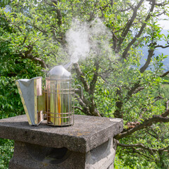 A smoker lit and ready for the beehive inspection. Cold smoke is used to calm the carniolan honey bees in a small private apiary on a green meadow in Trentino, Italy on a warm sunny day.