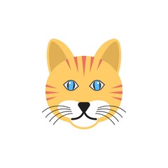 Obraz premium Face of cute cat. Domestic animal head, pet icon for creative mascot design.