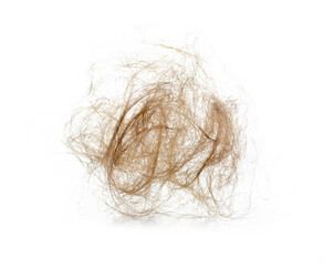 Clump of female hair on white background isolation