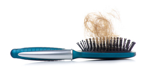 Clump of female hair on hair brush white background isolation