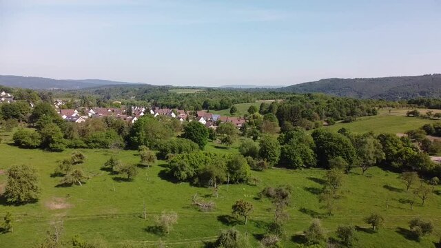 alte Streuobstwiesen als Wertvoller Lebensraum im Rheintal