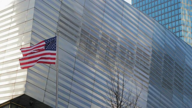 American flag is fluttering hold on a pole with a building facade made of metallic structure on its back and a tree on its side
