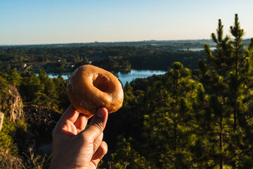 Donuts on a background of mountains and pine
