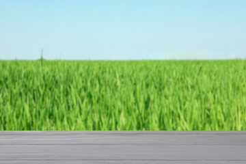 Wooden table against field. Agriculture concept. Mockup
