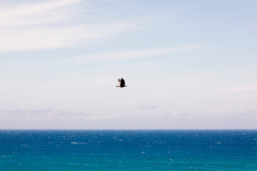 Volo sul mare