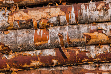 Stack of wood logs. Wood storage for industry. Felled tree trunks. Firewood cut tree trunk logs stacked prepared. Deforestation for Industrial production.