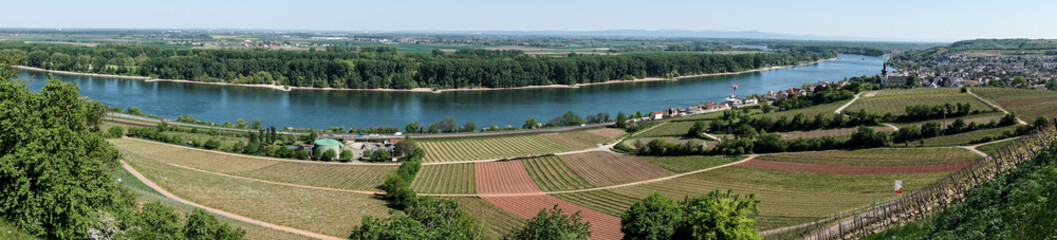 Panorama der Weinberge in Rheinhessen