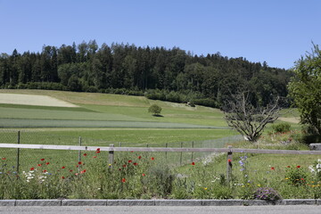 Obraz premium strassenrand