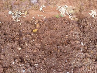 Soil texture at road site 