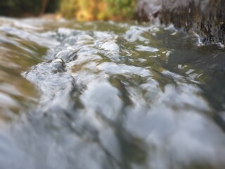 stream in the forest