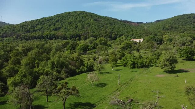 alte Streuobstwiesen als Wertvoller Lebensraum im Rheintal