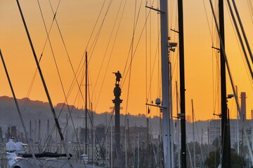 Cristoforo Colombo statue silhouette view through trees and shrouds of the boats moored in the port...