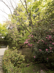 Jardines del Templo Honen-in, en Kioto, Japón