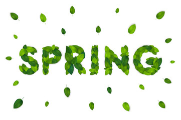 Ecology theme Go vegan flyer template with lettering. Bright fresh green leaves concept. Poster, card, label, banner design. Stylish realistic background. 3d Vector illustration EPS10