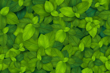 Naadloos patroon met groene verse realistische bladeren. Tegel met groen. Eco boerderij vers gras ontwerpconcept. Herhaal vectorillustratie als achtergrond.