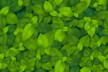 Tapeten Grün Nahtloses Muster mit grünen frischen realistischen Blättern. Fliese mit Grün. Öko-Bauernhof frisches Gras-Design-Konzept. Vektor wiederholen Hintergrundillustration.