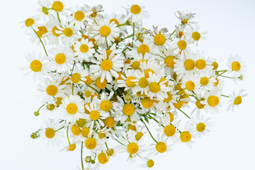 Big bouquet of daisies isolated on white