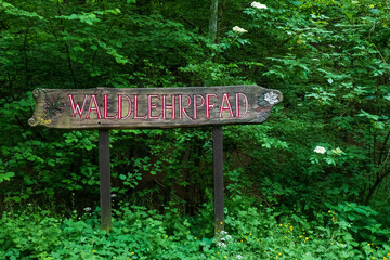 Schild mit Aufschrift Waldlehrpfad