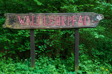 Schild mit Aufschrift Waldlehrpfad
