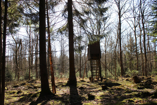 Hochsitz im Wald im Sauerland in Deutschland