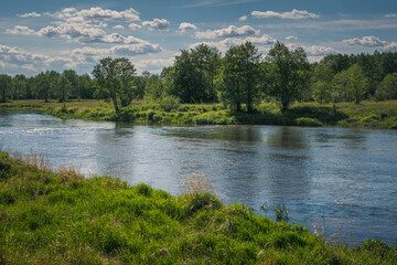 Pilica river at beautiful sunny day near Gapinin, Lodzkie, Poland