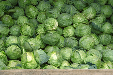 Fototapeta na wymiar green cabbage at the farmer's market