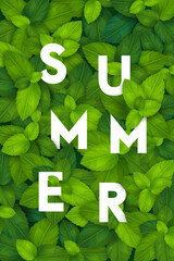 Bright summer background with 3d realistic green leaves and fun lettering, summer sale concept design for banners, wallpapers advertising, online shops, flyers, ad, promotion. Vector illustration.