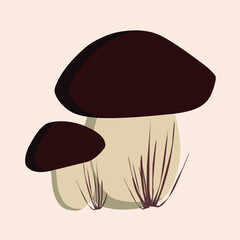 Autumn porcini mushrooms in the grass. Single element.