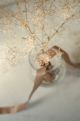 dry flower twig in a vase on a white background