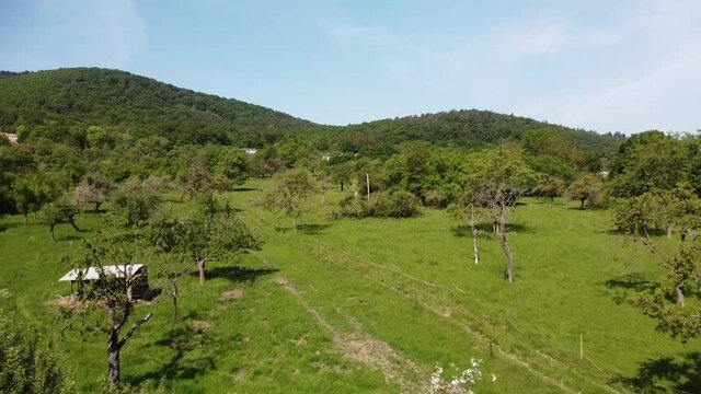 alte Streuobstwiesen als Wertvoller Lebensraum im Rheintal