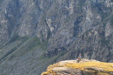 Solitary hiker rests contemplating the landscape panoramic view Alps Italy circa September 2013