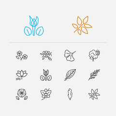 Fototapeta na wymiar Botany icons set. Orchids and botany icons with water lily, ginkgo biloba and magnolia. Set of fresh for web app logo UI design.