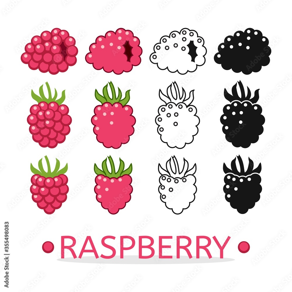 Poster vector raspberry set