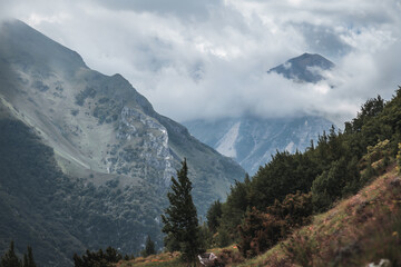 Fototapeta na wymiar Beautiful landscape with foggy mountains