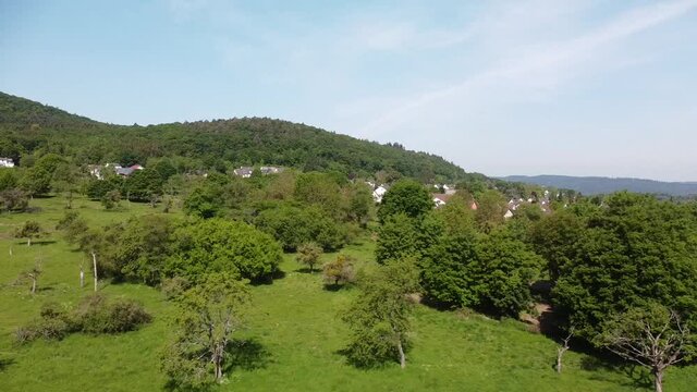 alte Streuobstwiesen als Wertvoller Lebensraum im Rheintal