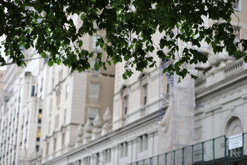 Upper East Side Architecture Buildings Homes Churches