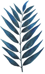 Watercolor blue artistic willow leaf