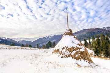 Winter rural landscape, haystacks on the background of snow-capped mountains and forestб, Transcarpathia, Ukraine