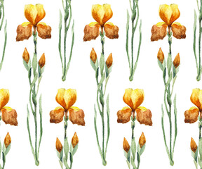 yellow irises watercolor pattern, floral seamless background