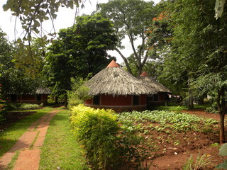 Cottage house in village
