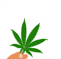 Human hand holding green leaf of cannabis. Vector illustration template design isolated on white background.
