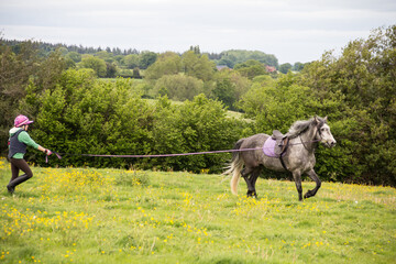 Young woman uses a long line and lunge whip to train and exercise her grey horse  in open fields of...
